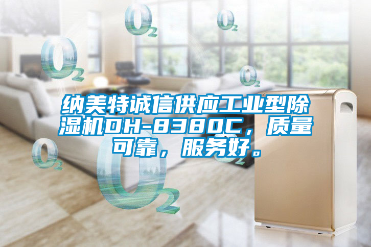 納美特誠(chéng)信供應(yīng)工業(yè)型除濕機(jī)DH-8380C<div   id=