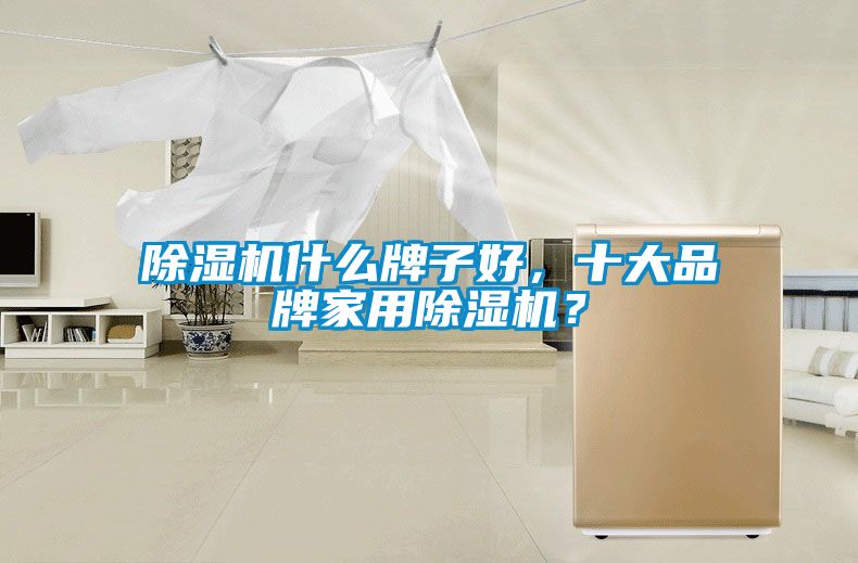 除濕機(jī)什么牌子好<div   id=