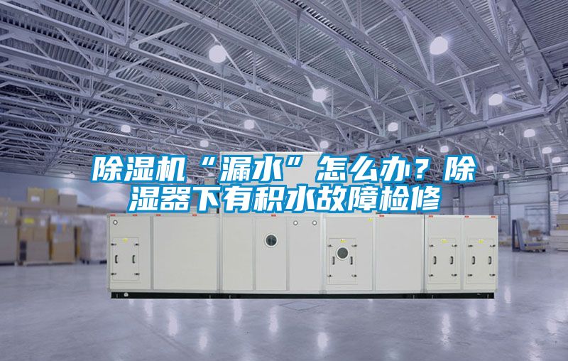 除濕機“漏水”怎么辦<div   id=