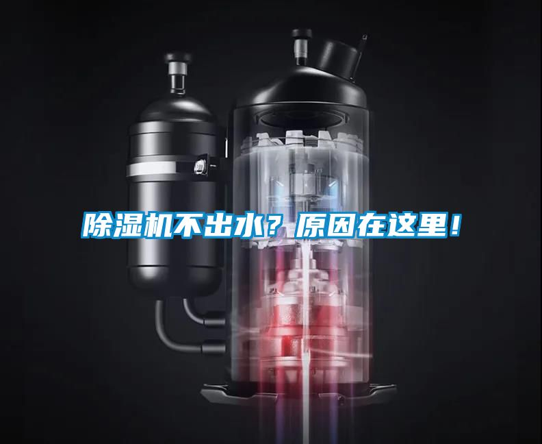 除濕機(jī)不出水？原因在這里<div   id=