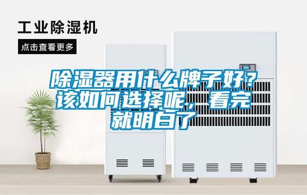除濕器用什么牌子好？該如何選擇呢<div   id=