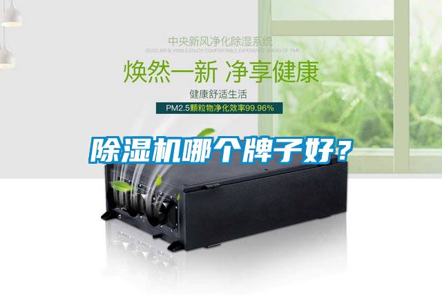 除濕機(jī)哪個(gè)牌子好？