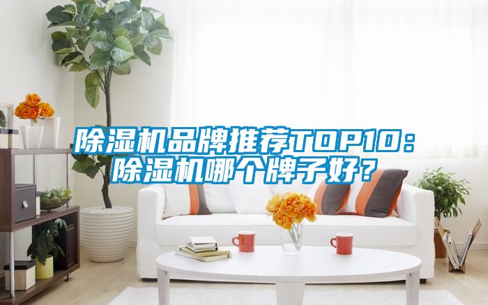除濕機(jī)品牌推薦TOP10：除濕機(jī)哪個(gè)牌子好<div   id=