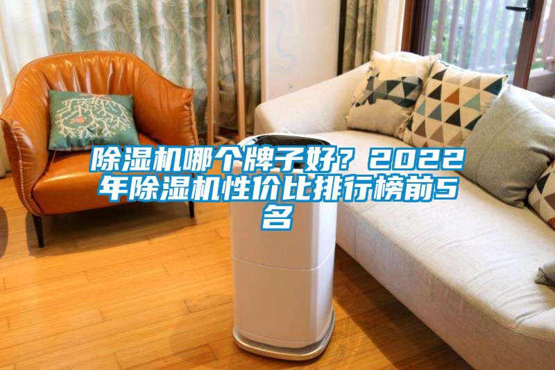 除濕機(jī)哪個(gè)牌子好？2022年除濕機(jī)性價(jià)比排行榜前5名