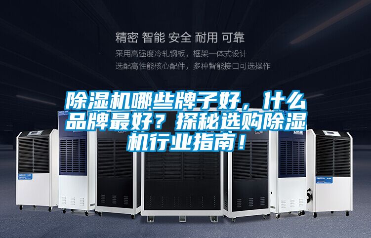 除濕機(jī)哪些牌子好，什么品牌最好<div   id=