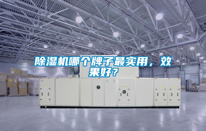 除濕機哪個牌子最實用<div   id=