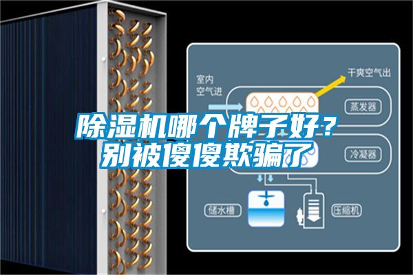 除濕機(jī)哪個(gè)牌子好？別被傻傻欺騙了