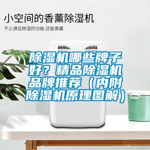 除濕機(jī)哪些牌子好<div   id=