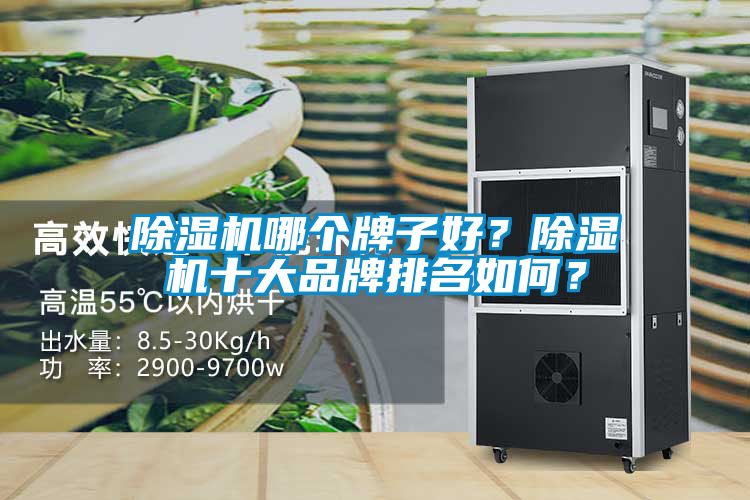 除濕機(jī)哪個(gè)牌子好<div   id=