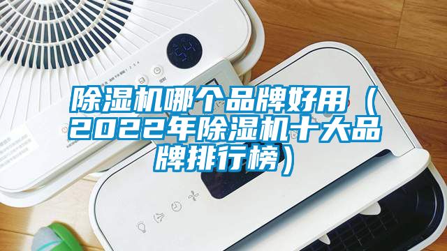 除濕機(jī)哪個(gè)品牌好用（2022年除濕機(jī)十大品牌排行榜）