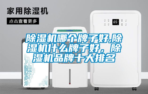 除濕機哪個牌子好,除濕機什么牌子好<div   id=