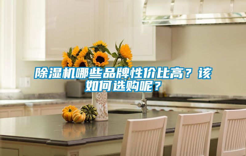 除濕機哪些品牌性價比高？該如何選購呢<div   id=