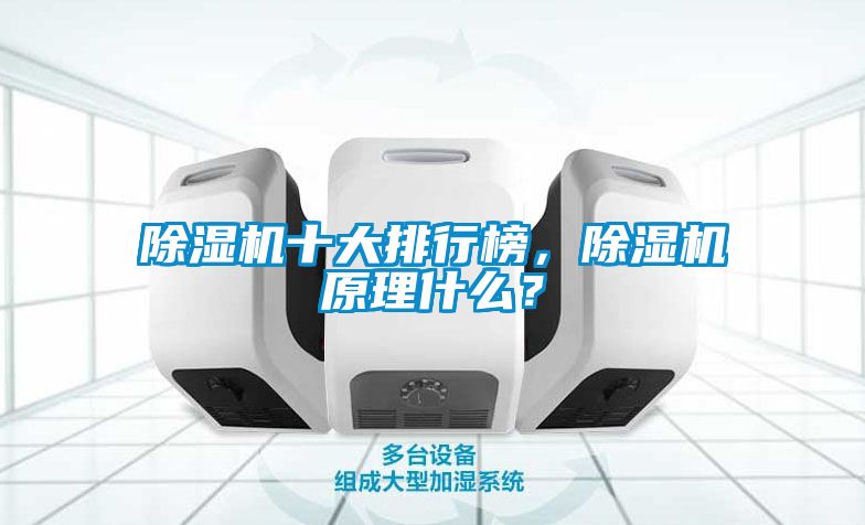 除濕機(jī)十大排行榜，除濕機(jī)原理什么？