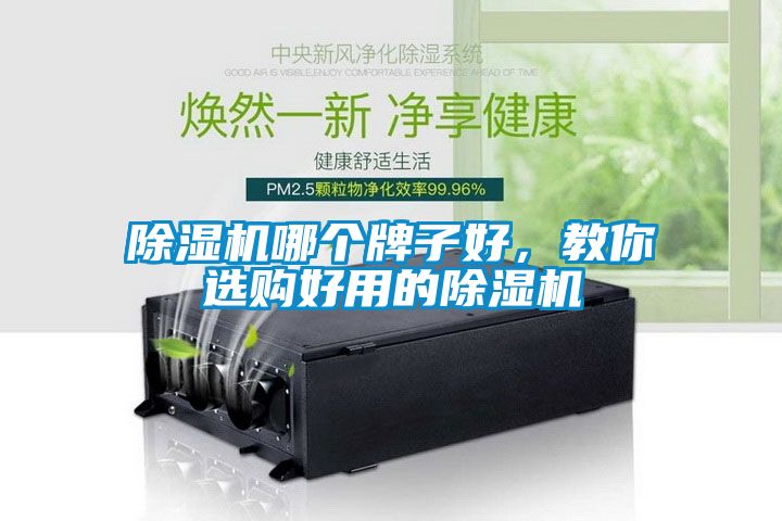 除濕機(jī)哪個(gè)牌子好，教你選購(gòu)好用的除濕機(jī)