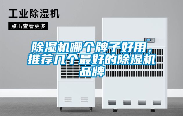 除濕機(jī)哪個(gè)牌子好用<div   id=