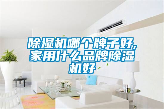 除濕機(jī)哪個牌子好,家用什么品牌除濕機(jī)好