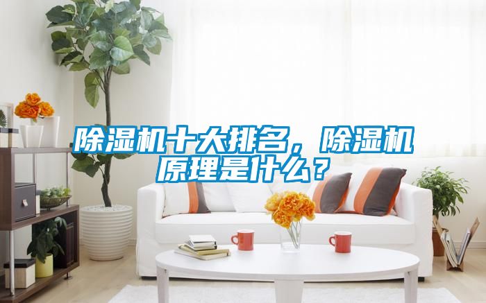 除濕機十大排名<div   id=