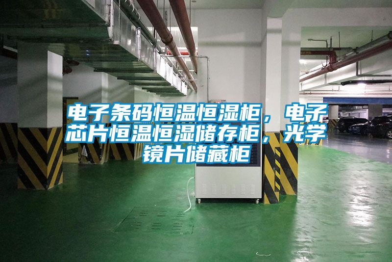 電子條碼恒溫恒濕柜，電子芯片恒溫恒濕儲(chǔ)存柜<div   id=