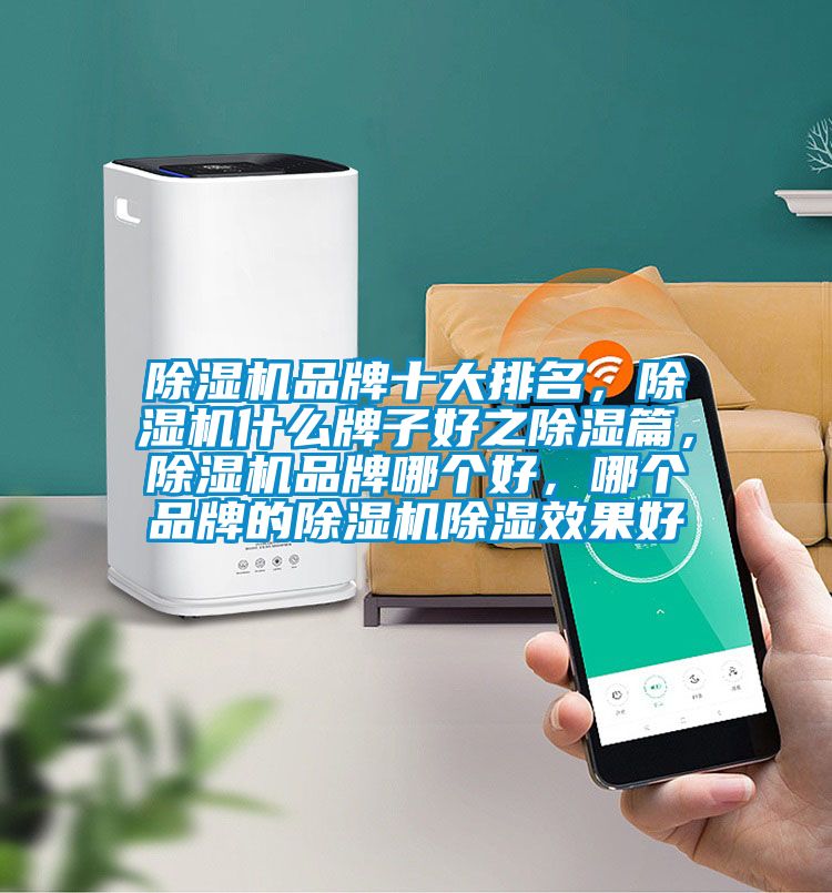 除濕機(jī)品牌十大排名，除濕機(jī)什么牌子好之除濕篇<div   id=