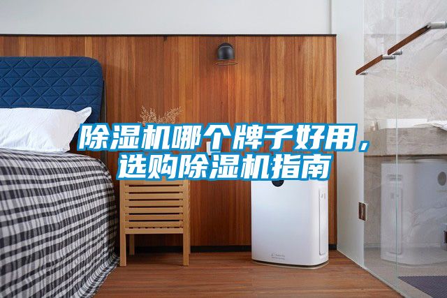 除濕機(jī)哪個牌子好用，選購除濕機(jī)指南