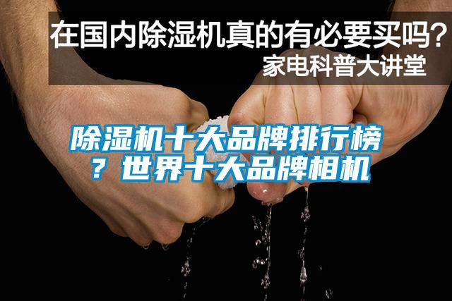 除濕機(jī)十大品牌排行榜<div   id=