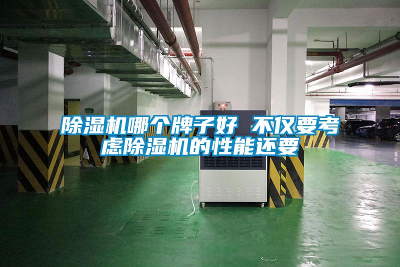 除濕機(jī)哪個牌子好 不僅要考慮除濕機(jī)的性能還要