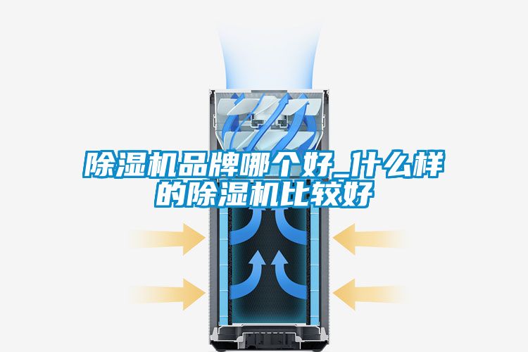 除濕機(jī)品牌哪個(gè)好_什么樣的除濕機(jī)比較好