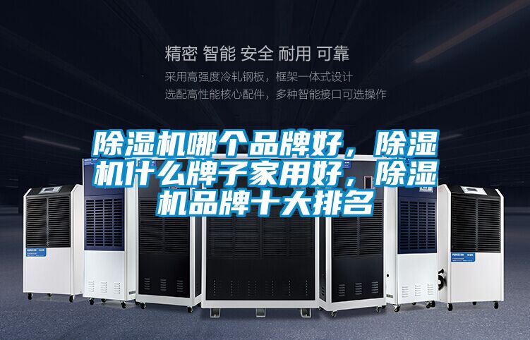 除濕機(jī)哪個(gè)品牌好<div   id=