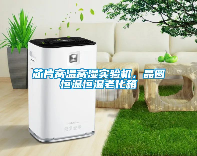 芯片高溫高濕實(shí)驗(yàn)機(jī)，晶圓恒溫恒濕老化箱