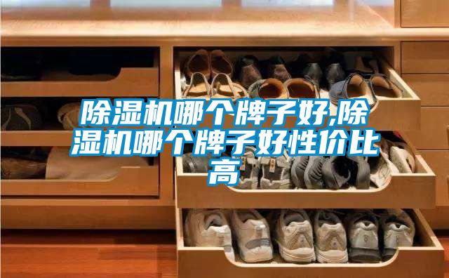 除濕機(jī)哪個(gè)牌子好,除濕機(jī)哪個(gè)牌子好性?xún)r(jià)比高