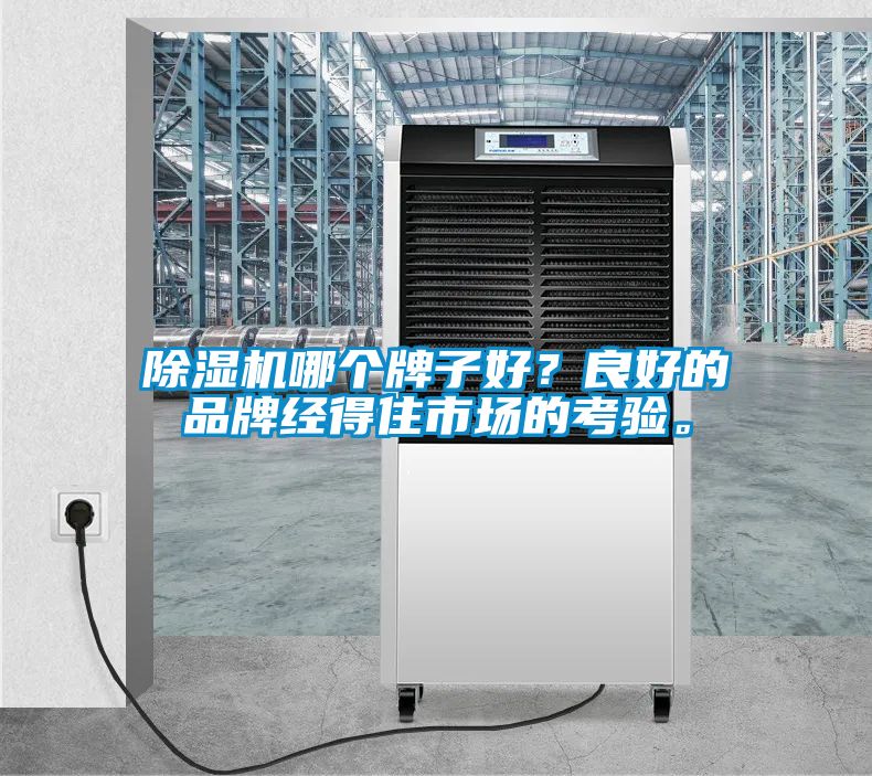 除濕機哪個牌子好<div   id=