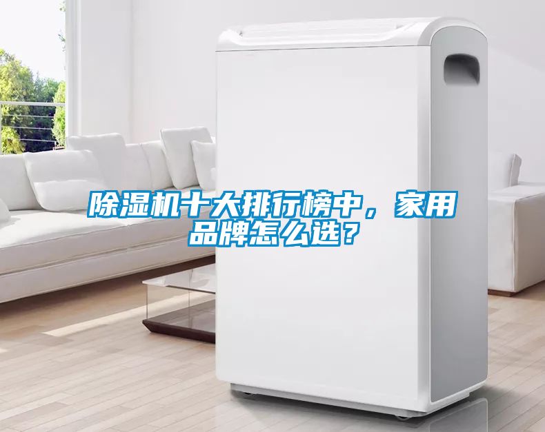除濕機(jī)十大排行榜中<div   id=
