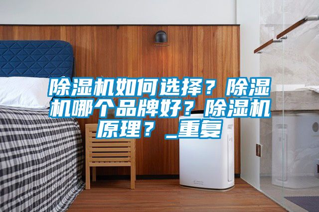 除濕機(jī)如何選擇？除濕機(jī)哪個(gè)品牌好<div   id=