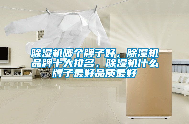 除濕機哪個牌子好<div   id=
