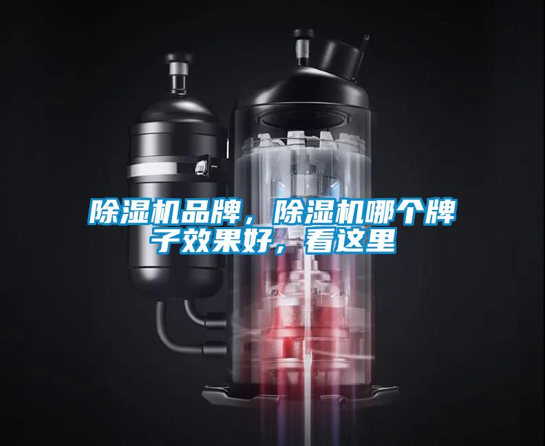 除濕機(jī)品牌，除濕機(jī)哪個(gè)牌子效果好<div   id=