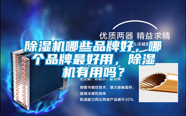 除濕機(jī)哪些品牌好，哪個(gè)品牌最好用<div   id=