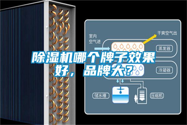 除濕機哪個牌子效果好，品牌大<div   id=