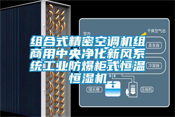 組合式精密空調(diào)機組商用中央凈化新風系統(tǒng)工業(yè)防爆柜式恒溫恒濕機