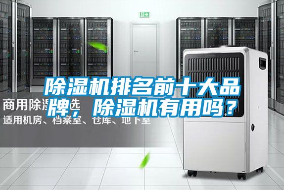 除濕機(jī)排名前十大品牌，除濕機(jī)有用嗎<div   id=