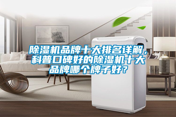 除濕機(jī)品牌十大排名詳解<div   id=