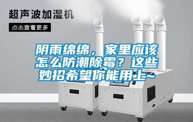 陰雨綿綿，家里應該怎么防潮除霉？這些妙招希望你能用上~