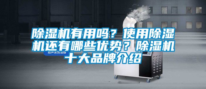 除濕機(jī)有用嗎？使用除濕機(jī)還有哪些優(yōu)勢<div   id=