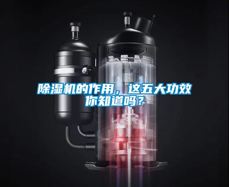 除濕機的作用<div   id=