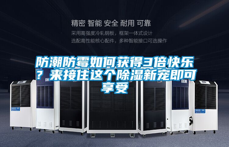 防潮防霉如何獲得3倍快樂<div   id=