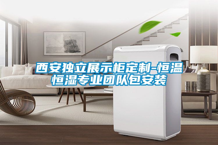 西安獨(dú)立展示柜定制-恒溫恒濕專業(yè)團(tuán)隊包安裝