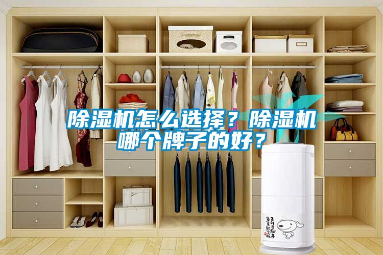 除濕機怎么選擇？除濕機哪個牌子的好<div   id=