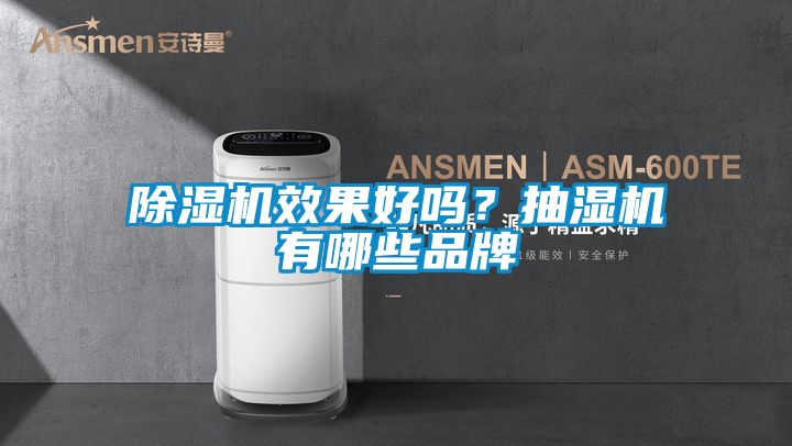 除濕機效果好嗎<div   id=