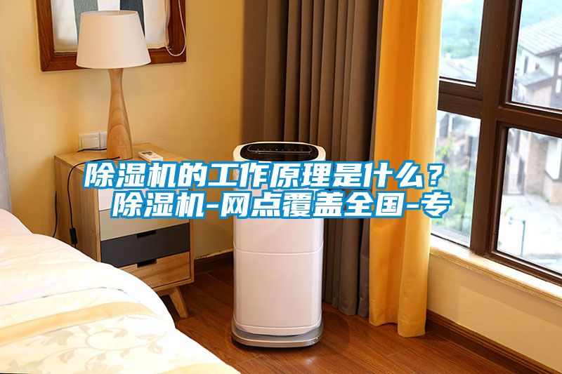 除濕機(jī)的工作原理是什么？ 除濕機(jī)-網(wǎng)點(diǎn)覆蓋全國(guó)-專(zhuān)