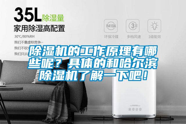除濕機(jī)的工作原理有哪些呢？具體的和哈爾濱除濕機(jī)了解一下吧<div   id=