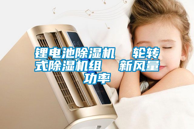 鋰電池除濕機  輪轉(zhuǎn)式除濕機組  新風(fēng)量功率